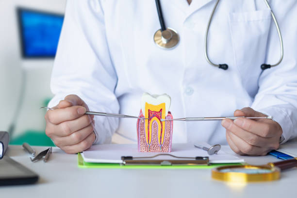 Best Emergency Dental Extractions in Cape May Court House, NJ